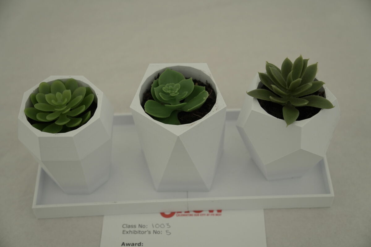 3D printed plant pots